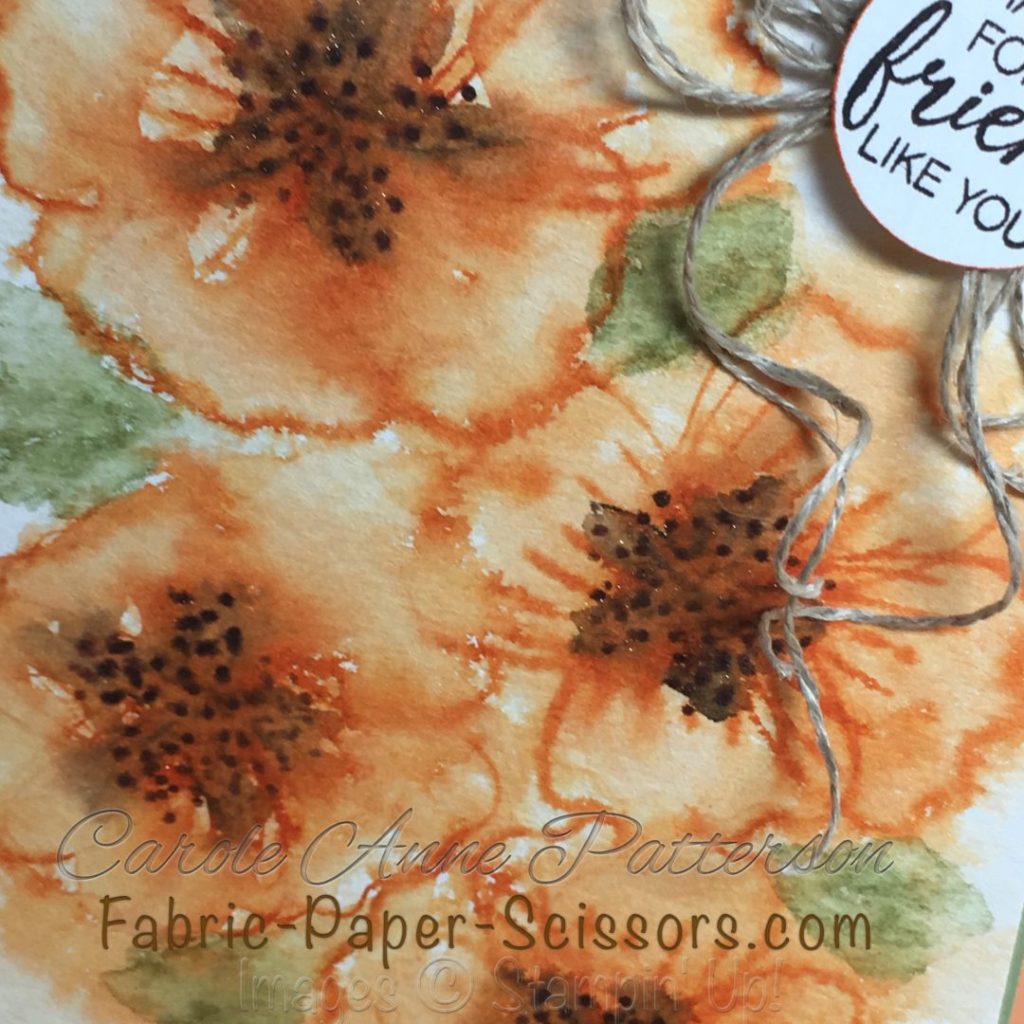 California Poppies for Global Design Project&nbsp;#GDP076