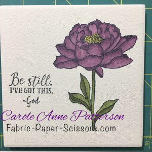 watermarked22016-12-08-2146