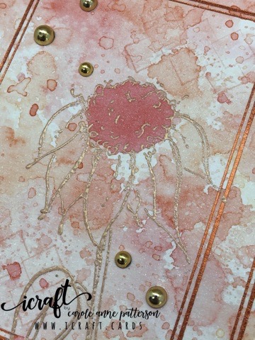 I’m wandering through&nbsp;fields…