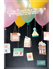 It’s Tuesday and the Best Day of My&nbsp;Life!